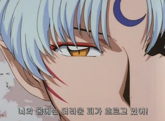 이누야샤가 형님이라고 했으면 셋쇼마루가 잘 해줬다는 밈은_3.jpg
